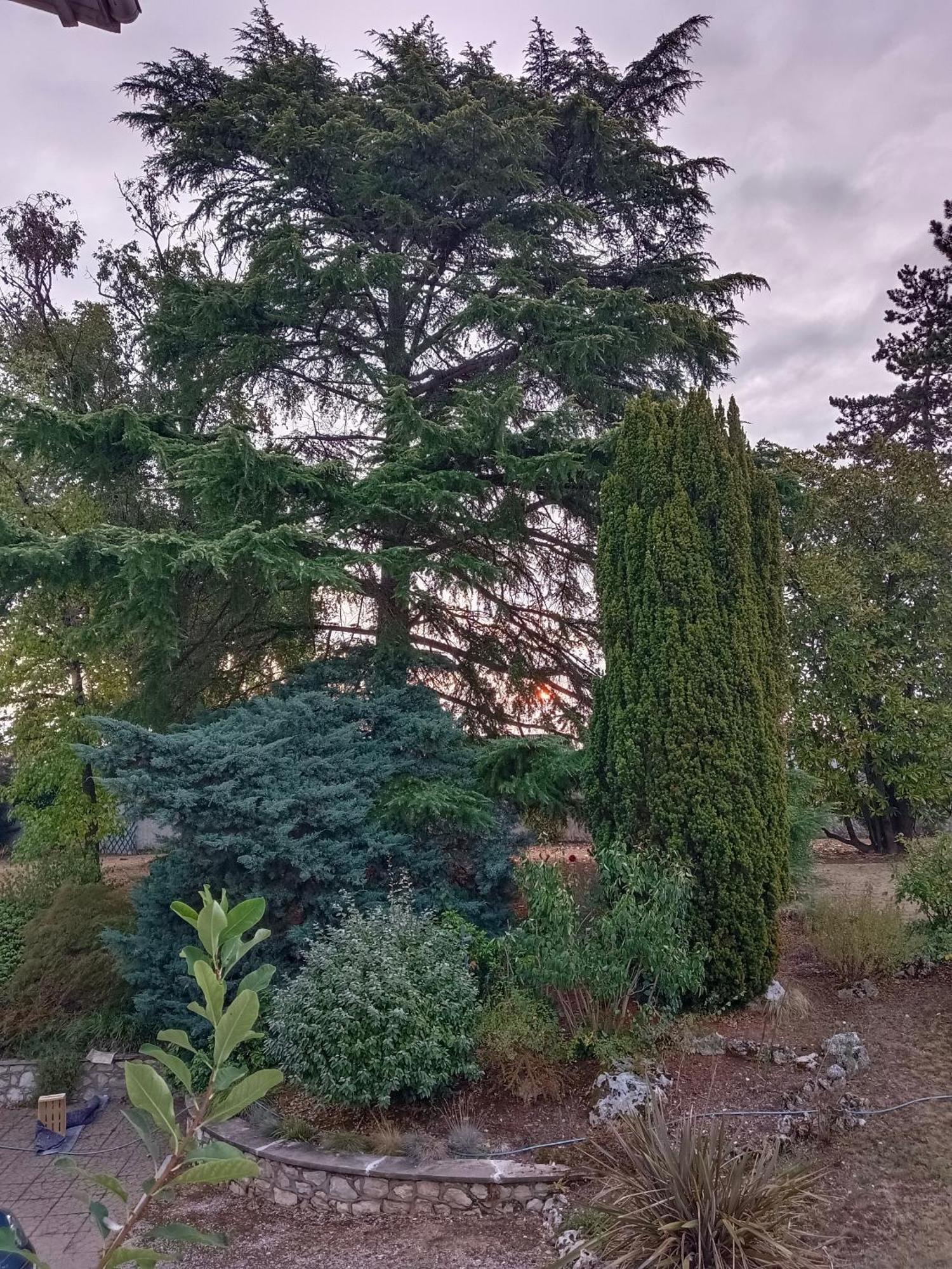 La Maison Basque Sainte-Livrade-sur-Lot ภายนอก รูปภาพ